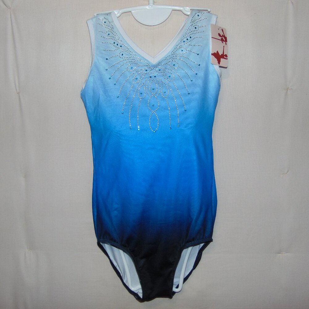 Blue Rhinestone Leotard 14A